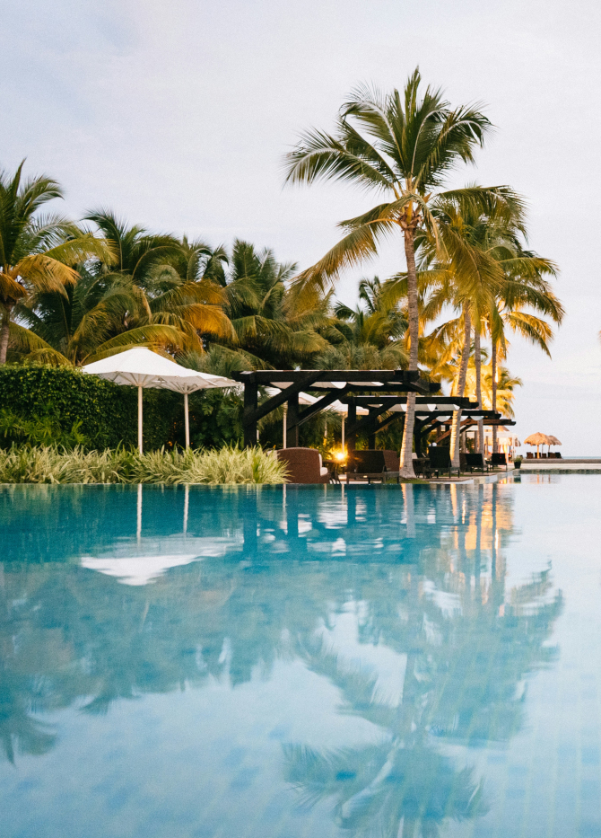 Tropical resort infinity pool lined with palm trees, sun loungers and shaded cabanas overlooking the ocean.